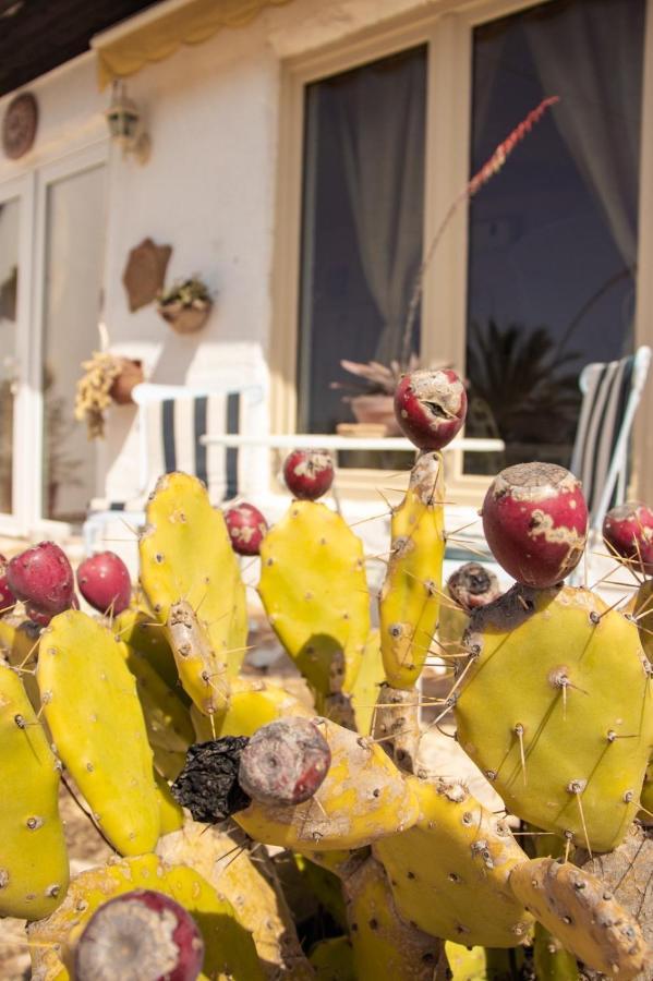 Poggio Bellavista Bed and Breakfast Sampieri Εξωτερικό φωτογραφία